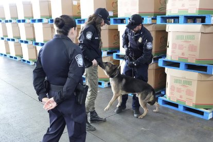 Kristi Noem junto a agentes de la CBP (Archivo)