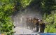 Bomberos forestales que respondían a un incendio forestal en Canfield Mountain